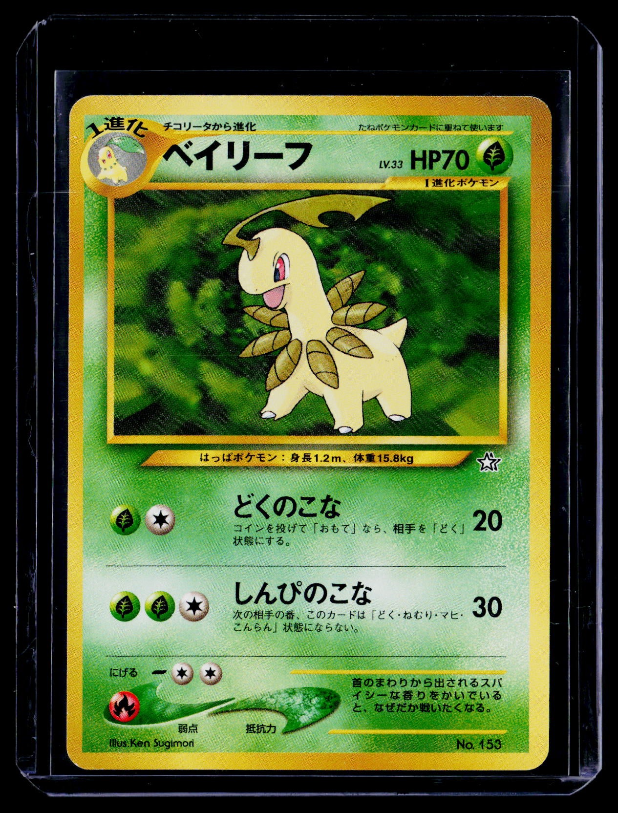 Neo Premium File 1 Bayleef