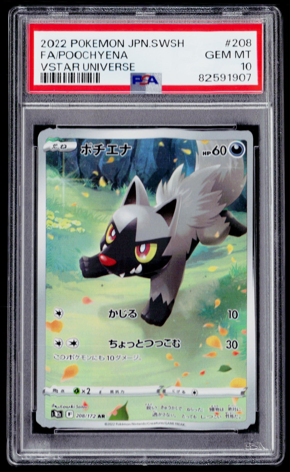 S12a: VSTAR Universe #208/172 Poochyena PSA 10